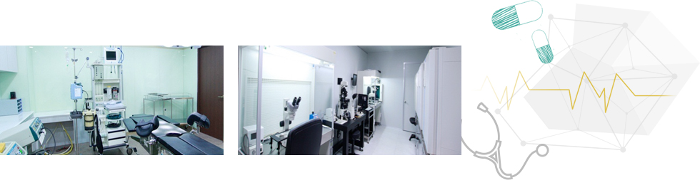 Eroom Women’s Clinic